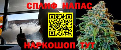 прущие крисы Будённовск