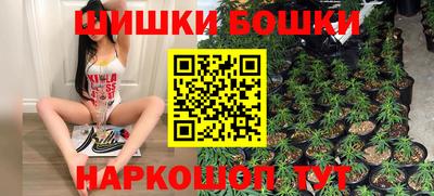 прущие крисы Будённовск