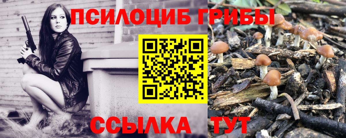 Псилоцибиновые грибы прущие грибы Снежинск