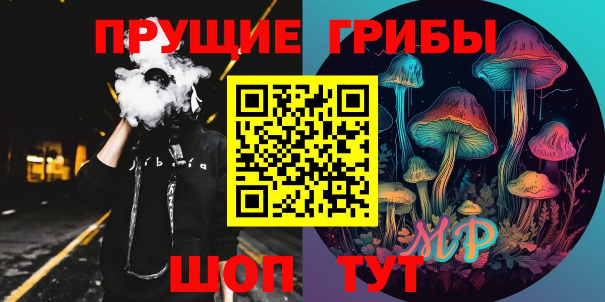как найти наркотики  Галлюциногенные грибы мицелий  Вход с VPN  Псилоцибиновые грибы Psilocybine cubensis  Снежинск 